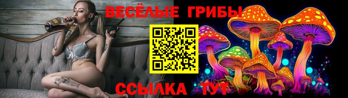 Псилоцибиновые грибы Psilocybe  Галлюциногенные грибы Psilocybine cubensis  Чапаевск  купить  сайты  Вход с VPN 